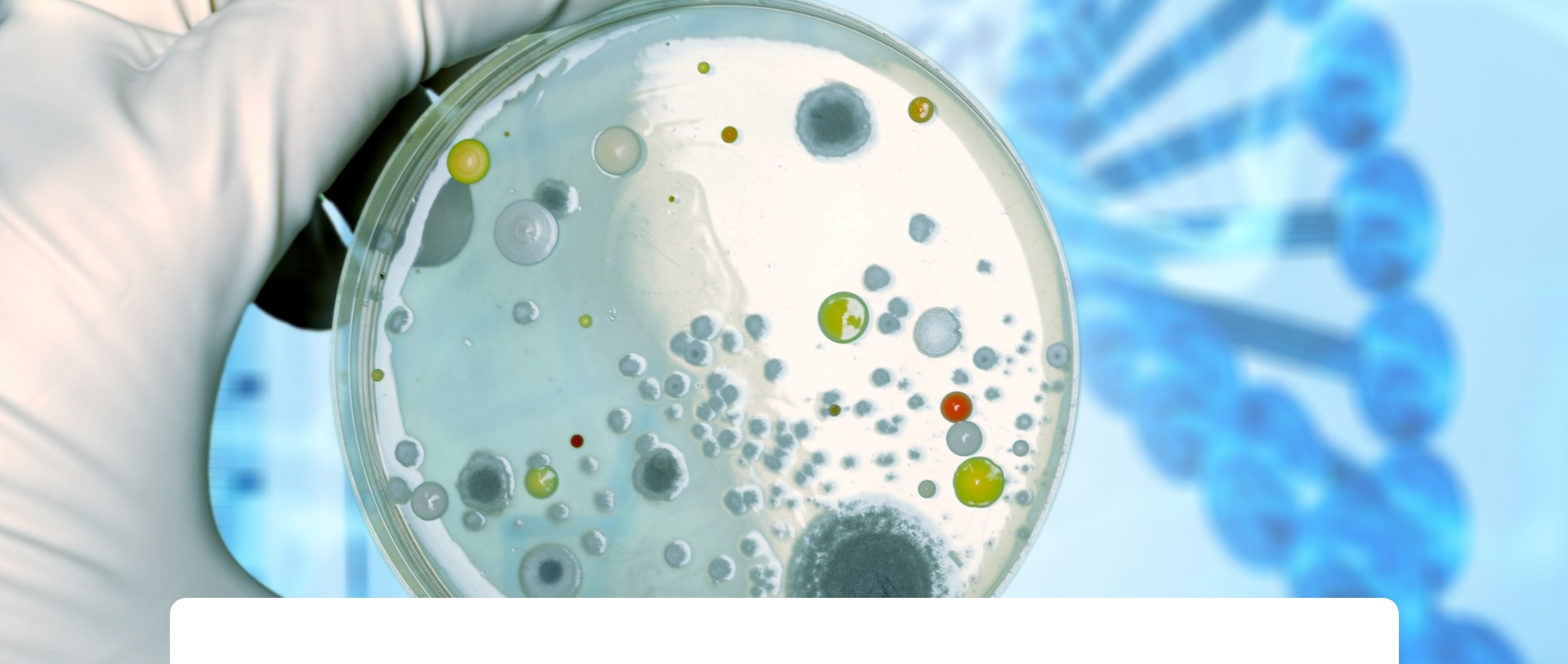 Microbiología